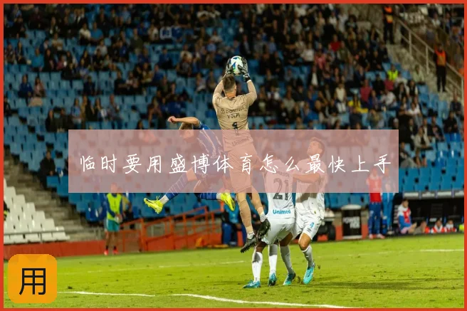 临时要用盛博体育怎么最快上手