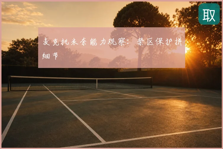 麦克托米奈能力观察：禁区保护拼细节